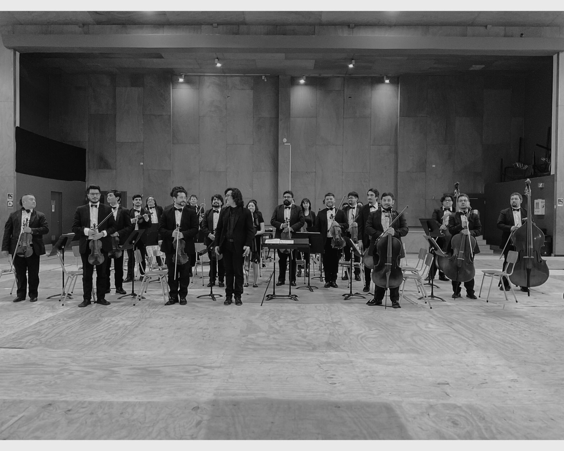 Orquesta Filarmónica del Lago Llanquihue en concierto